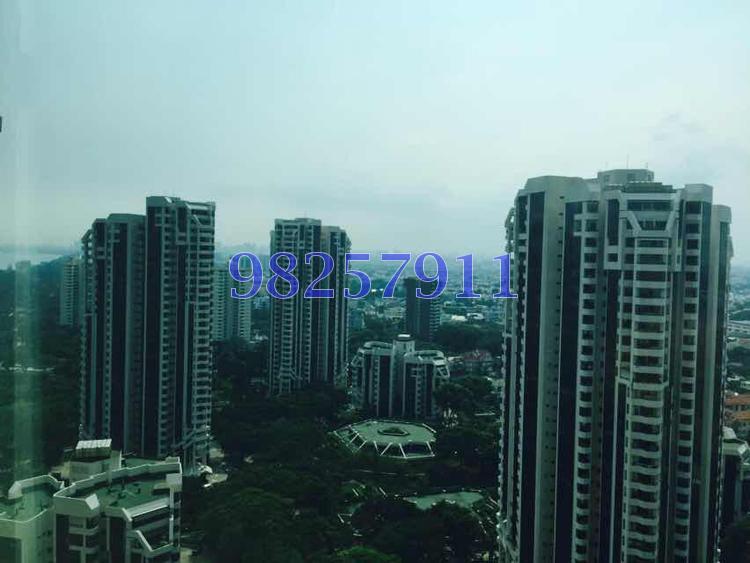 Costa Del Sol (D16), Condominium #115375212